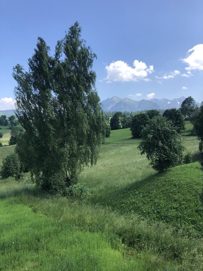 Отели типа «постель и завтрак» Siumno Izba B&B Brzegi Бжеги-20